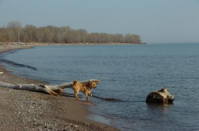 May3_06_248.JPG