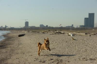 May3_06_252.JPG