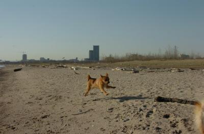 May3_06_253.JPG