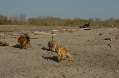 May3_06_254.JPG