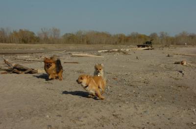 May3_06_255.JPG