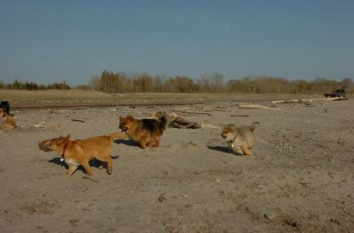 May3_06_256.JPG
