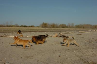 May3_06_257.JPG