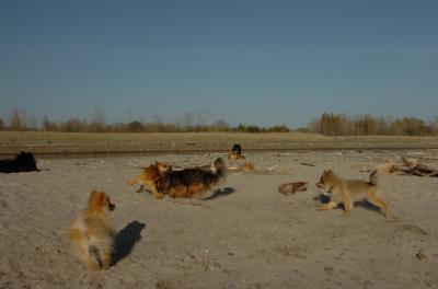 May3_06_258.JPG