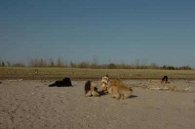 May3_06_259.JPG