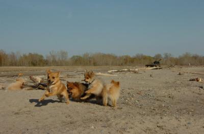 May3_06_261.JPG