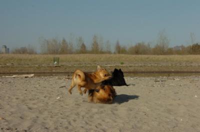 May3_06_264.JPG