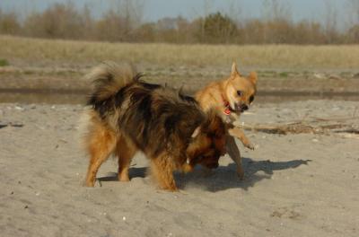 May3_06_266.JPG