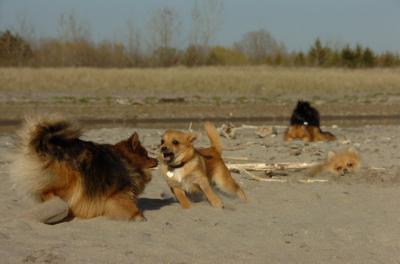 May3_06_267.JPG
