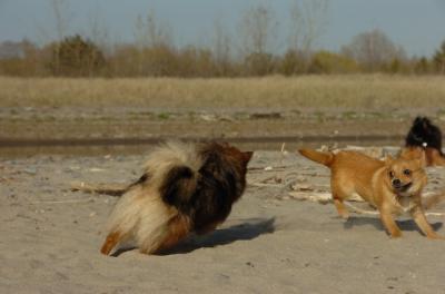 May3_06_269.JPG