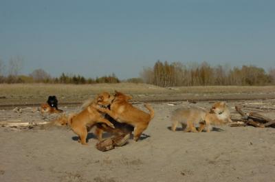 May3_06_272.JPG