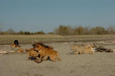 May3_06_274.JPG