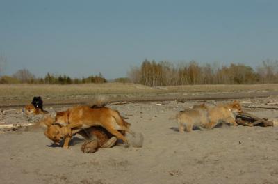 May3_06_275.JPG