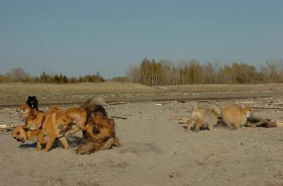 May3_06_276.JPG