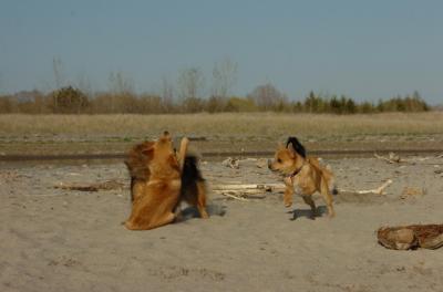 May3_06_277.JPG