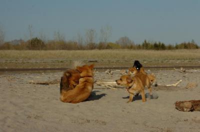 May3_06_278.JPG