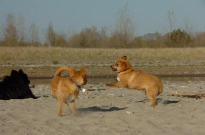 May3_06_279.JPG