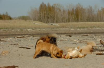 May3_06_284.JPG