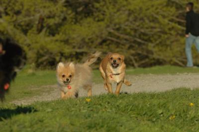 May6_06_358.JPG