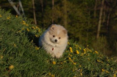 May6_06_168.JPG