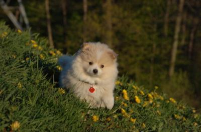 May6_06_169.JPG