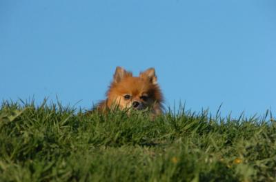 May6_06_172.JPG