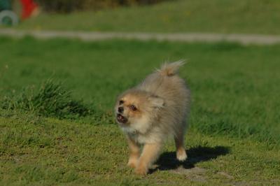 May6_06_248.JPG