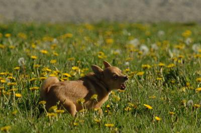 May6_06_267.JPG
