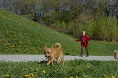 May7_06_713.JPG