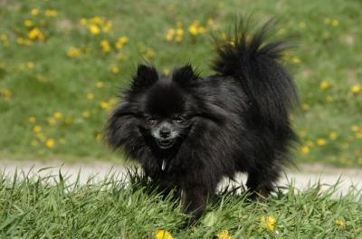 May7_06_720.JPG