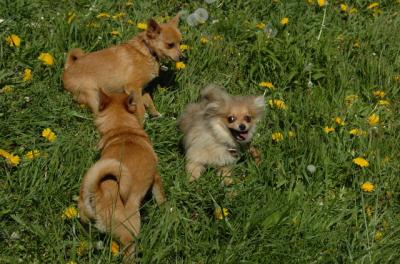 May7_06_724.JPG