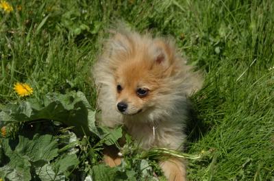 May7_06_728.JPG