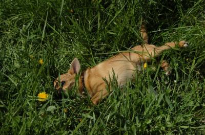 May7_06_729.JPG