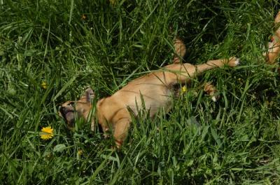 May7_06_730.JPG
