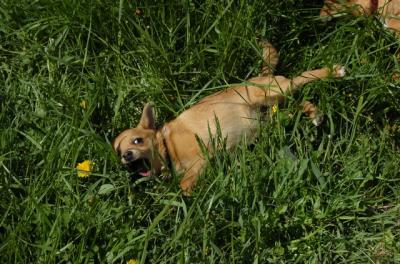 May7_06_731.JPG