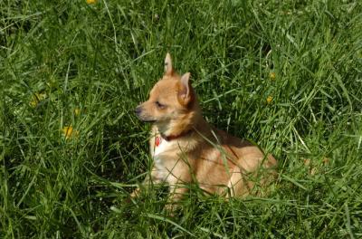 May7_06_732.JPG