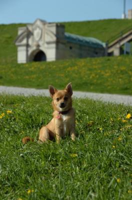 May7_06_736.JPG