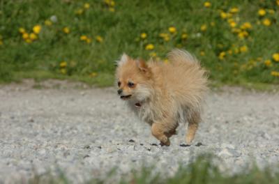 May7_06_737.JPG