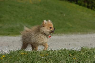 May7_06_740.JPG