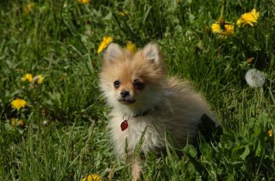 May7_06_744.JPG
