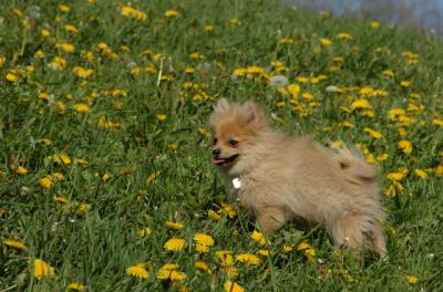 May7_06_747.JPG
