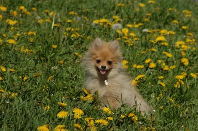 May7_06_748.JPG