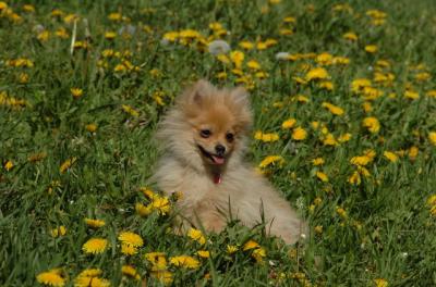 May7_06_749.JPG