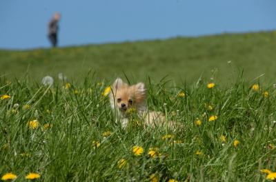 May7_06_757.JPG