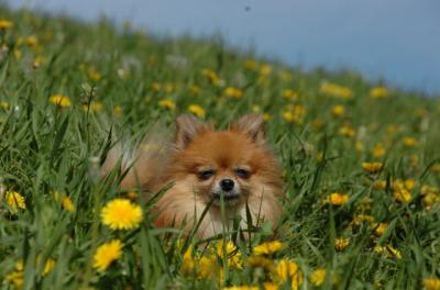 May7_06_758.JPG