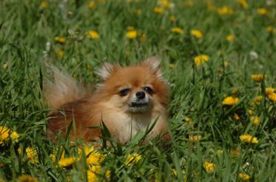 May7_06_764.JPG