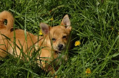 May7_06_769.JPG
