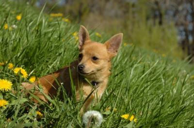May7_06_773.JPG
