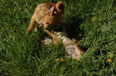 May7_06_775.JPG