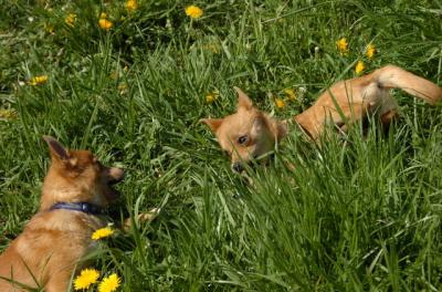 May7_06_778.JPG
